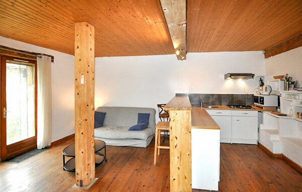 Ferienhaus - Cazalrenoux , Frankreich - FLA417 4