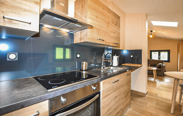Domy wakacyjne - Sonnac-sur-l'Hers , Francja - FLA426 403