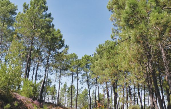 Location de vacances - Peyremale , France - FLG068 907