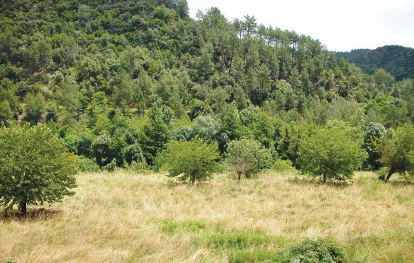 Location de vacances - Peyremale , France - FLG068 103
