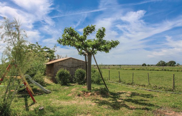 Ferienhaus - Roulotte Camarguaise , Frankreich - FLG298 801