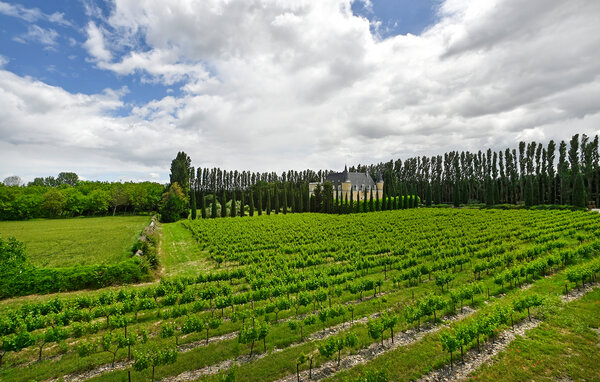 Location de vacances - Pont Saint Esprit , France - FLG327 107