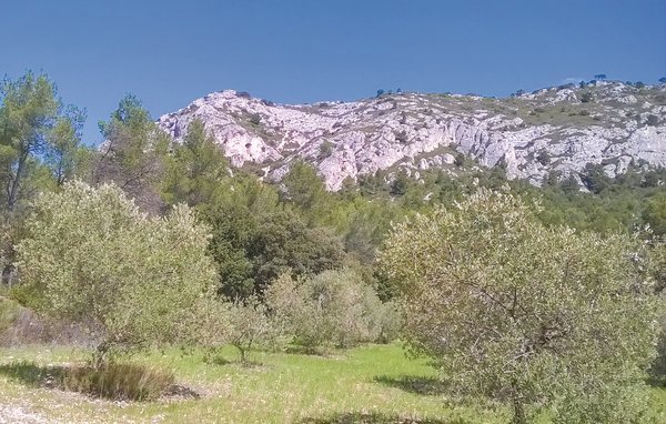 Location de vacances - Saint Hilaire D'Ozilhan , France - FLG445 901