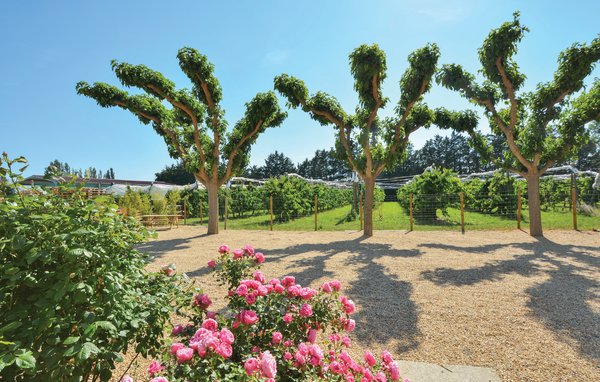 Holiday Home - Vallabrègues , France - FLG519 202