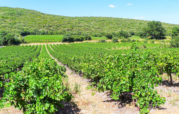 Location de vacances - Montignargues , France - FLG561 906