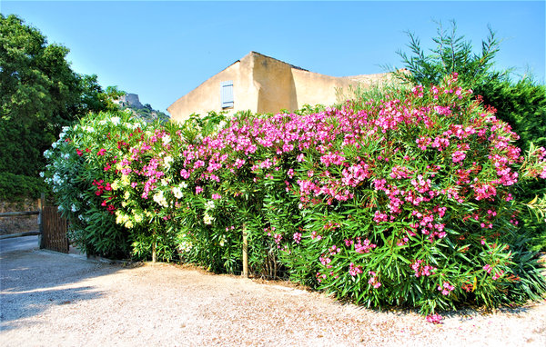 Kuća-za-odmor - Saint Victor la Coste , Francuska - FLG608 103
