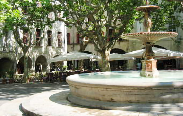Location de vacances - Mejannes-le-Clap , France - FLG654 906