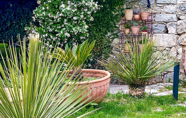 Ferienhaus - Lussan , Frankreich - FLG853 109