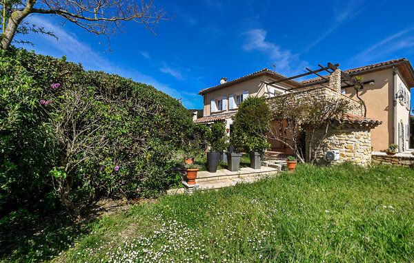 Location de vacances - St Julien les Rosiers , France - FLG869 81