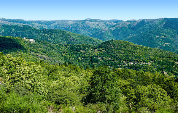 Appartamento - Saint-Hippolyte-du-Fort , Francia - FLG959 902