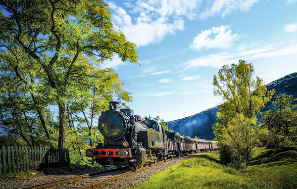 Location de vacances - St-Genies-de-Comolas , France - FLG963 908