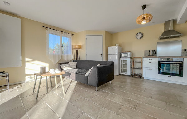 Location de vacances - Saint André de Roquepertuis , France - FLG977 4