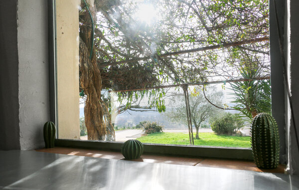 Vakantiehuis - Lussan , Frankrijk - FLG979 403