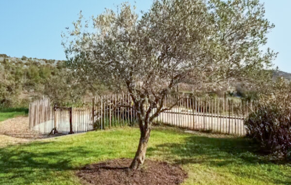 Vakantiehuis - Lussan , Frankrijk - FLG979 101