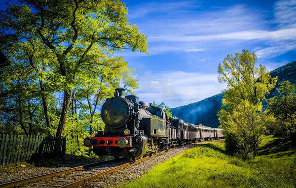 Location de vacances - Mejannes le clap , France - FLG993 904