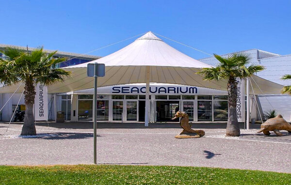 Apartamento - Le Grau du roi , Francia - FLG997 901