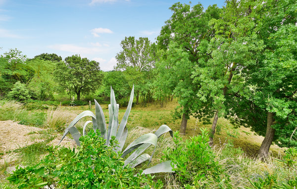 Location de vacances - Aspiran , France - FLH180 105
