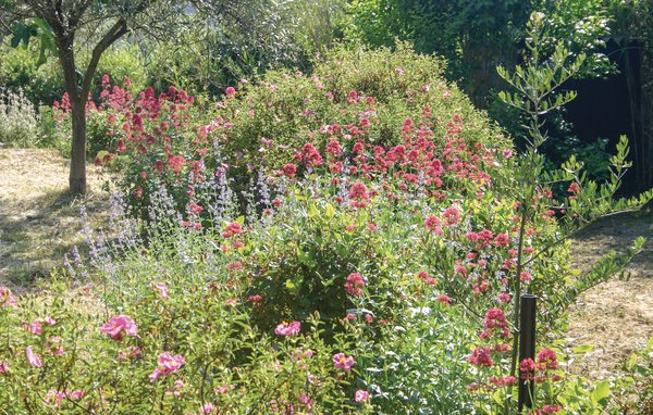 Vakantiehuis - St Pons de Mauchiens , Frankrijk - FLH292 103