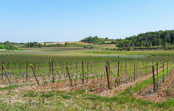 Location de vacances - Serignan , France - FLH564 906