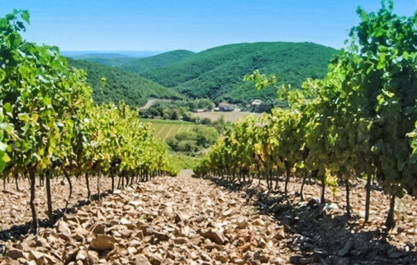 Location de vacances - Cabrerolles , France - FLH630 7