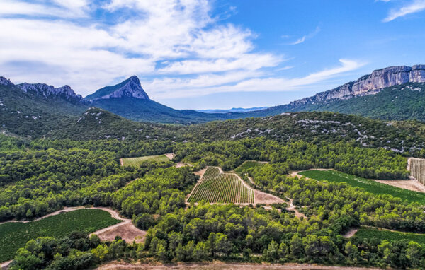Domy wakacyjne - LE Rouet , Francja - FLH651 8
