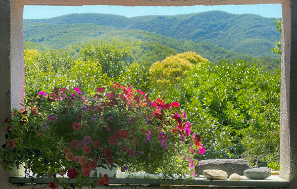 Location de vacances - Hérépian , France - FLH661 201
