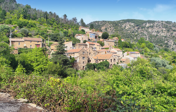Ferienhaus - Saint-Vincent-d'Olargues , Frankreich - FLH685 81