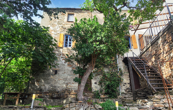 Ferienhaus - Saint-Vincent-d'Olargues , Frankreich - FLH685 84