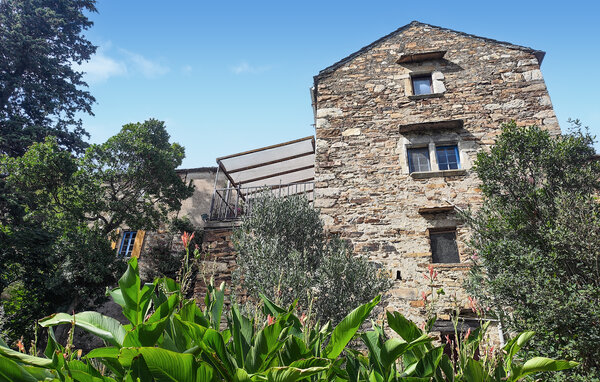 Ferienhaus - Saint-Vincent-d'Olargues , Frankreich - FLH685 1