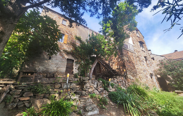 Ferienhaus - Saint-Vincent-d'Olargues , Frankreich - FLH685 85