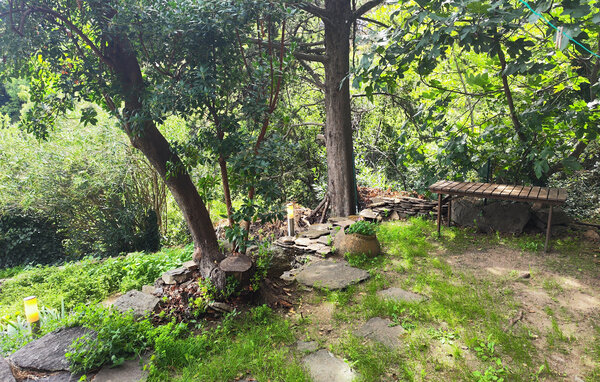 Ferienhaus - Saint-Vincent-d'Olargues , Frankreich - FLH685 102