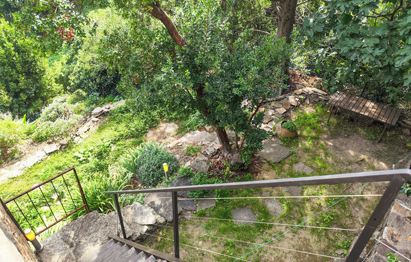 Ferienhaus - Saint-Vincent-d'Olargues , Frankreich - FLH685 103