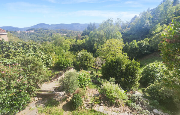 Ferienhaus - Saint-Vincent-d'Olargues , Frankreich - FLH685 201
