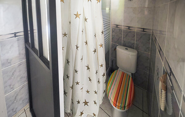 Semesterhus - La Salvetat-sur-Agout , Frankrike - FLH728 702