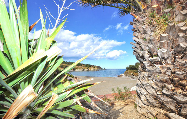 Ferienhaus - Banyuls Sur Mer , Frankreich - FLP287 901