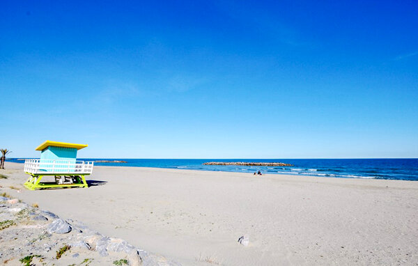 Appartement - Saint-Cyprien Plage , France - FLP317 901