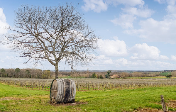 Ferienwohnung - Mauléon d'Armagnac , Frankreich - FMG053 905