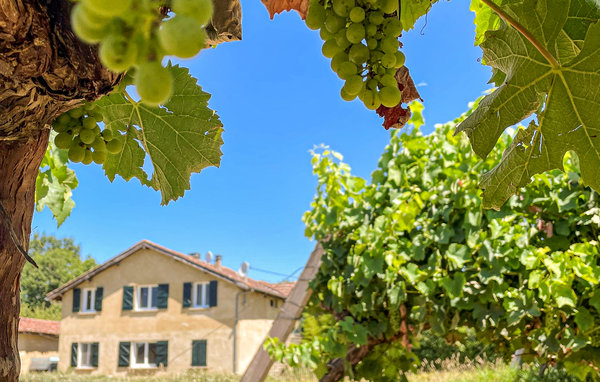 Apartment - Mauléon d'Armagnac , France - FMG054 801