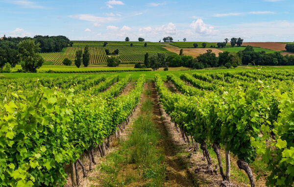 Casa de vacaciones - Mauléon-D'Armagnac , Francia - FMG058 904