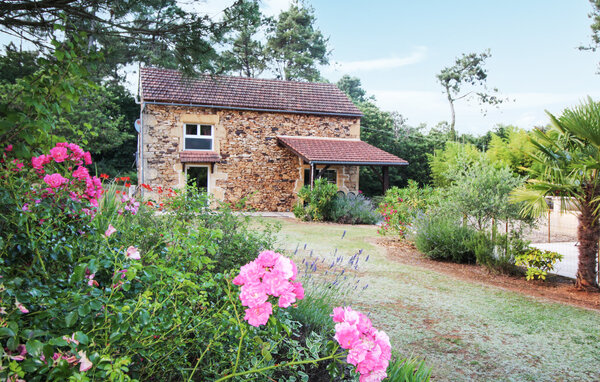 Holiday Home - Montcabrier , France - FML146 1