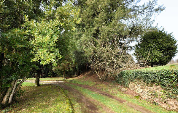 Casa de vacaciones - Saint-Amans-Valtoret , Francia - FMT056 101