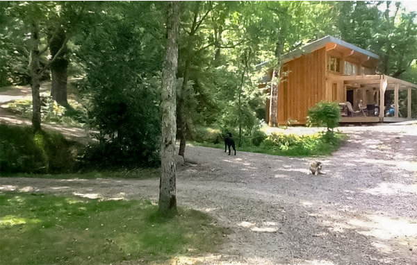 Appartamento - Saint-Affrique , Francia - FMV046 101