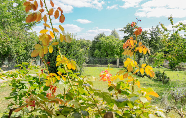 Ferienhaus - JAULGONNE , Frankreich - FNA046 101