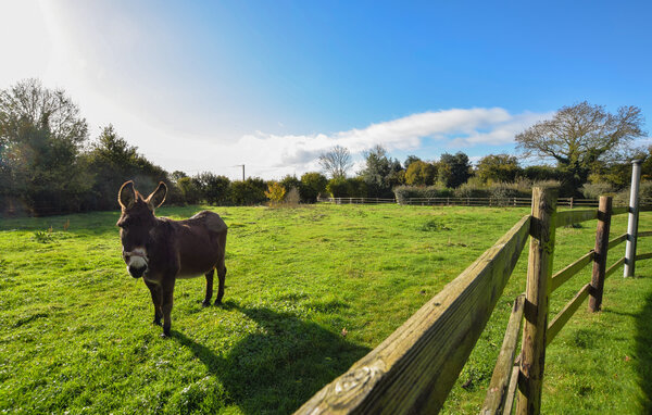 Vakantiehuis - Bonneville la louvet , Frankrijk - FNC312 104