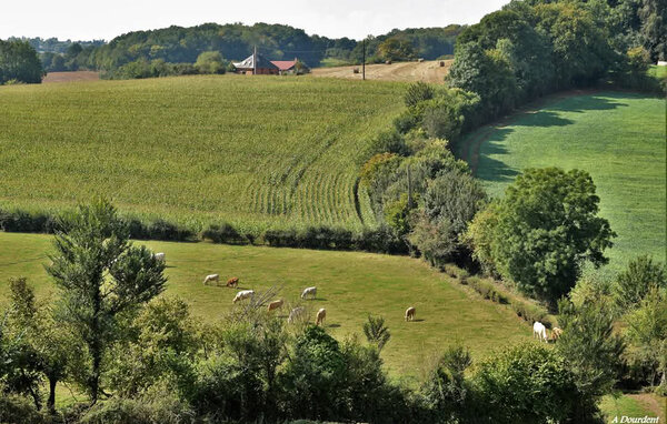 Kuća-za-odmor - Milly-sur-Thérain , Francuska - FNI043 906