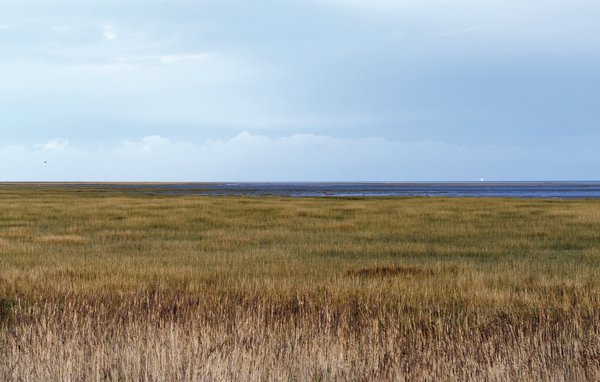 Semesterhus - Brucheville , Frankrike - FNM293 903