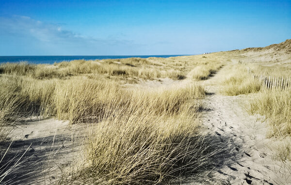 Location de vacances - Sartilly-Baie-Bocage , France - FNM561 903