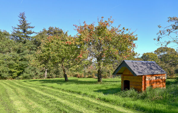 Location de vacances - La Pernelle , France - FNM562 109