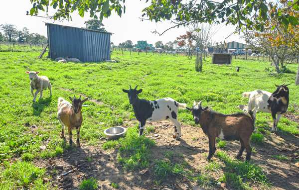 Casa vacanze - Ver , Francia - FNM601 9