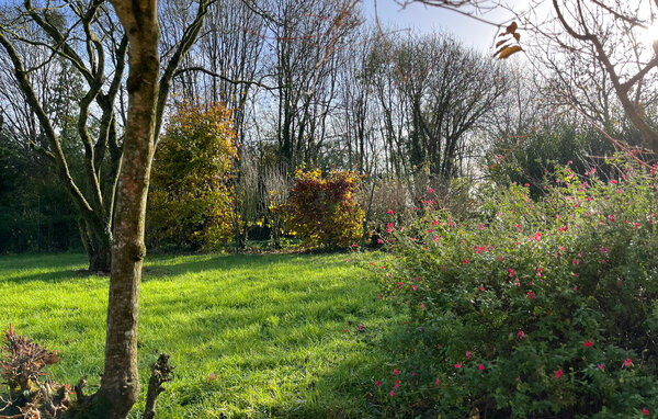 Vakantiehuis - Heugueville sur Sienne , Frankrijk - FNM608 101